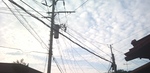 2010-10-05 16.12.38.jpg