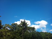 Sky.jpg