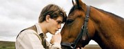 Warhorse4.jpg